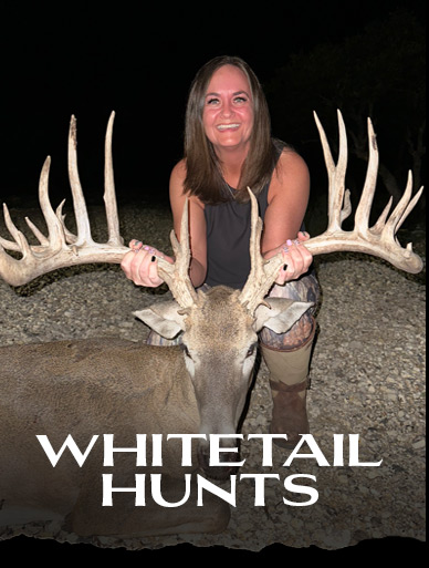 WHITETAIL HUNTS