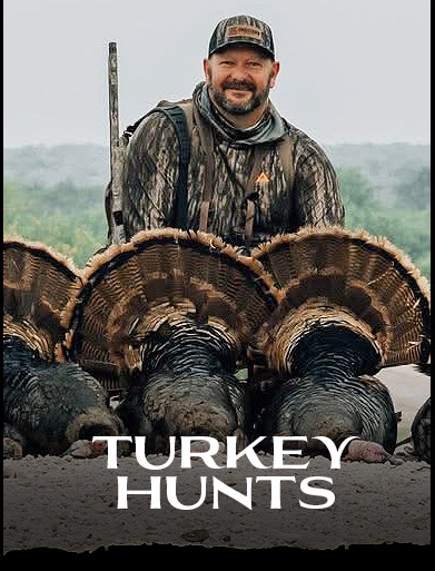 TURKEY HUNTS