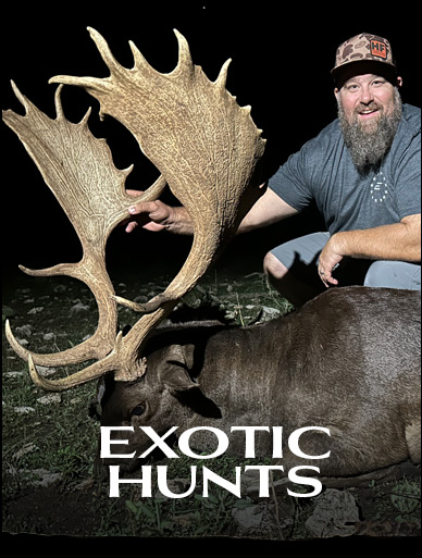 EXOTIC HUNTS