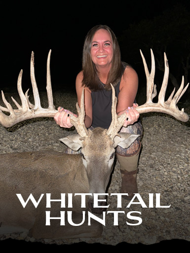 WHITETAIL HUNTS