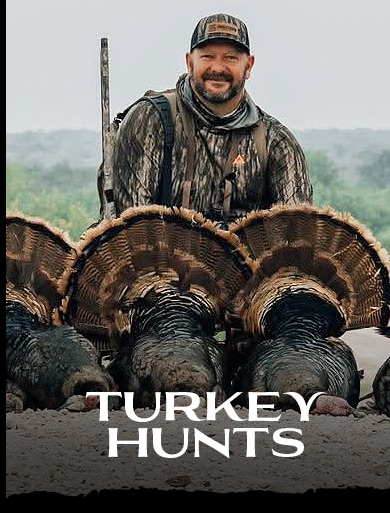 TURKEY HUNTS