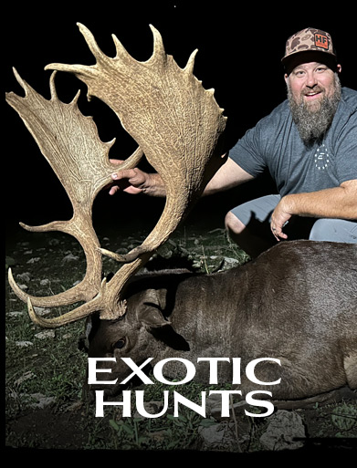 EXOTIC HUNTS