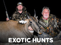 EXOTIC HUNTING