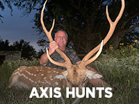 AXIS HUNTING