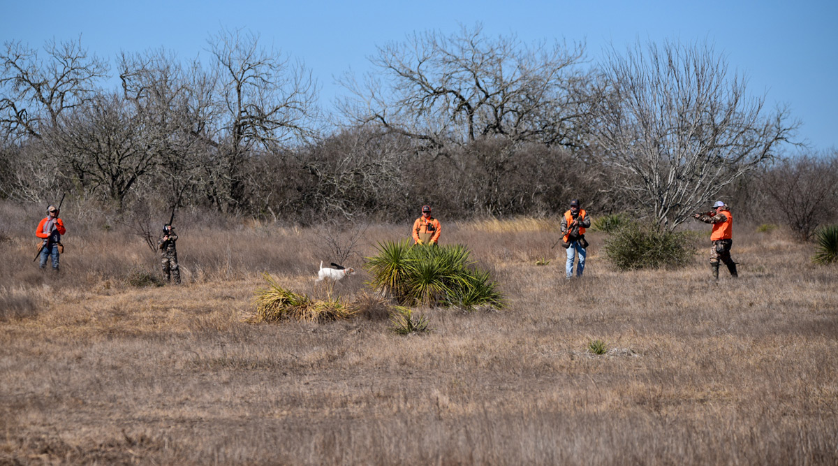 QUAIL HUNTING